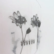 Mercedes Baliarda No.20 detail