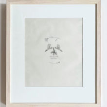 Mercedes Baliarda No 26