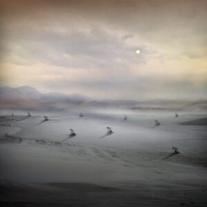 Suzanne Moxhay | Migration |The Contemporary