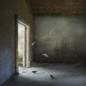 Suzanne Moxhay | Entrance I |The Contemporary London