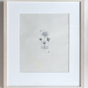 Mercedes Baliarda No.16 The Contemporary London