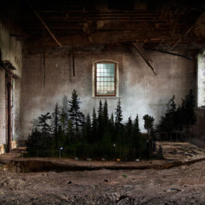 Suzanne Moxhay | Copse |The Contemporary London