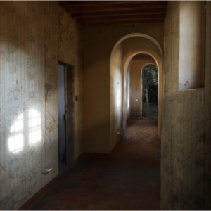 Suzanne Moxhay | Cloister |The Contemporary London