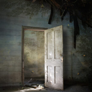 Suzanne Moxhay | Entrance VI |The Contemporary London