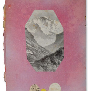 Sue Williams A'Court, Anonymous Collage 68