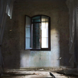 Suzanne Moxhay, The Contemporary London, Entrance VII