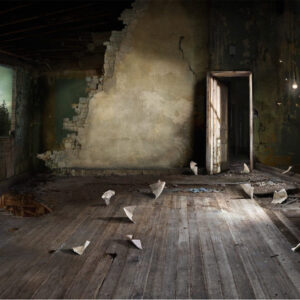 Antechamber, Suzanne Moxhay