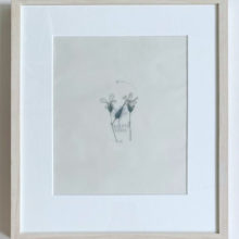 Mercedes Baliarda No 27