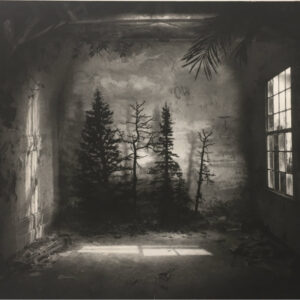 Room with Pines by Suzanne Moxhay, The Contemporary London