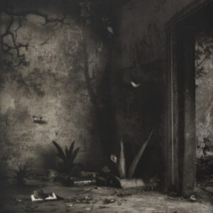 Suzanne Moxhay, Alcove with book and vegetation