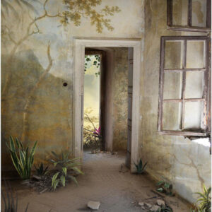 Approach, Suzanne Moxhay