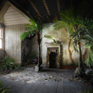 Suzanne Moxhay Palms the Contemporary London