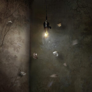 Lumen artwork by Suzanne Moxhay