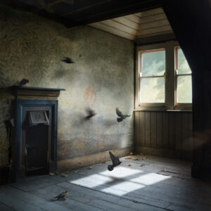 Installation view of Loft artwork by Suzanne Moxhay